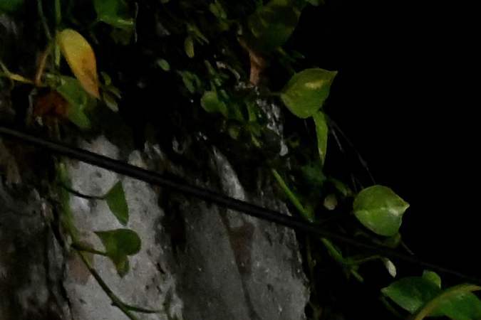 Así celebran el Diwali en India. (Foto: SAJJAD HUSSAIN/AFP via Getty Images)