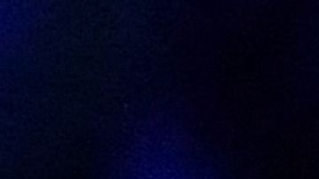 Djokovic celebra luego de su triunfo ante el danés Holger Rune en las Finales ATP 2023.