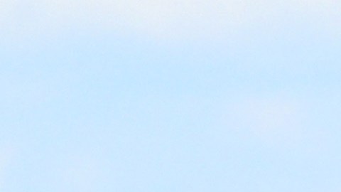 El hombre ganó en la Melbourne Cup 2023.