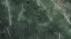 Durante el operativo, las autoridades recuperaron un total de 78 balas.