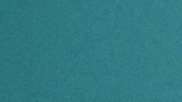 Ronald Acuña Jr. con Tiburones de La Guaira.