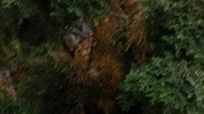 US-CHINA-DIPLOMACY-APEC-SUMMIT