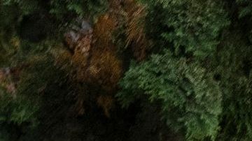 US-CHINA-DIPLOMACY-APEC-SUMMIT