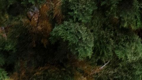 US-CHINA-DIPLOMACY-APEC-SUMMIT