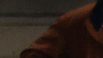 EE.UU. sufrió más de la cuenta para vencer a Trinidad y Tobago en cuartos de CONCACAF Nations League