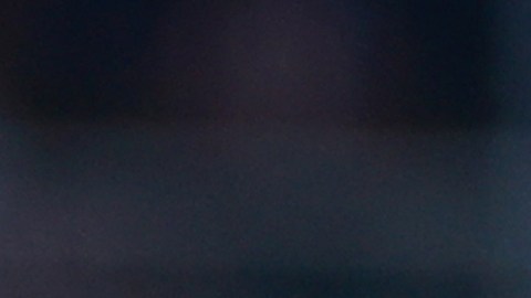 El delantero de Chivas de Guadalajara le regaló su camiseta de la selección mexicana a Ronaldo Nazario.