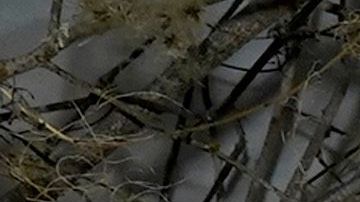 Salma Hayek posando con famosas de la talla de Kim Kardashian y Jessica Alba.