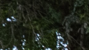 Chris Christie durante su visita a Israel.