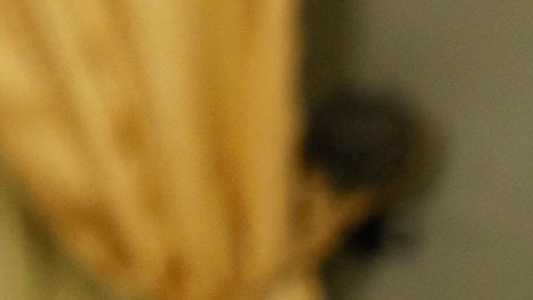 Gustavo Petro, presidente de Colombia, se reunió con Nicolás Maduro