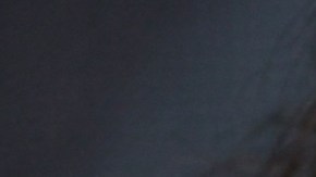 Presidente electo de Argentina Javier Milei