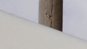 PALESTINIAN-ISRAEL-CONFLICT-EGYPT