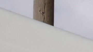 PALESTINIAN-ISRAEL-CONFLICT-EGYPT