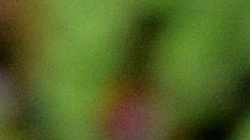 Rodrygo discutiendo con Leo Messi y Rodrigo De Paul.