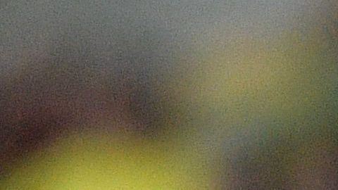 Lionel Scaloni dirige a la selección de Argentina durante su visita al Maracaná en Brasil.