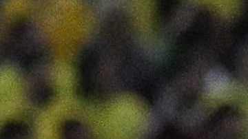 Brasil en el Maracaná para enfrentar a Argentina.