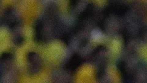 Brasil en el Maracaná para enfrentar a Argentina.