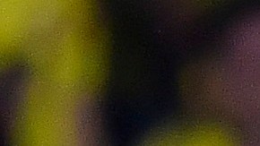 Endrick, joya del Real Madrid, afirma que prefiere a Pelé y Cristiano Ronaldo por encima de Messi