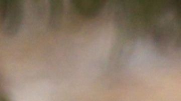 Guerra Palestina e Israel