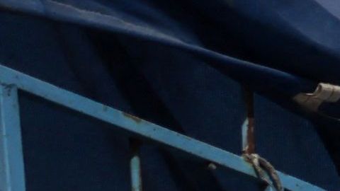 PALESTINIAN-ISRAEL-CONFLICT