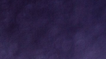 Milei mantuvo "conversaciones telefónicas con dignatarios extranjeros", cuyos nombres no fueron revelados.