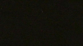 Robert F. Kennedy Jr., Tucker Carlson Speak At The RiskOn360! GlobalSuccess Conference