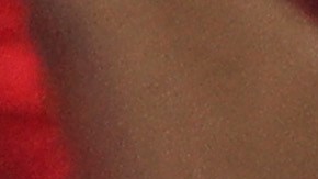 Árbitro expulsó a todos los jugadores de Florida Panthers y Ottawa Senators tras batalla campal