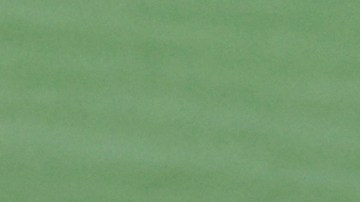 Theo Zidane, tercer hijo de Zinedine podría debutar este miércoles con Real Madrid en Champions