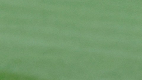 Theo Zidane, tercer hijo de Zinedine podría debutar este miércoles con Real Madrid en Champions