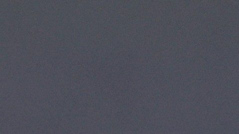 Novak Djokovic atiende a los medios de comunicación en la previa a la final de la Copa Davis 2023.