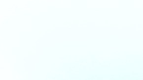 Checo Pérez en 2024 va por el campeonato de la F1 con Red Bull