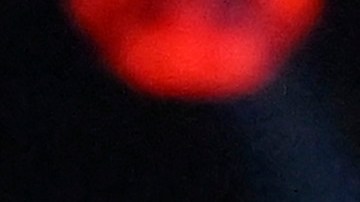 David Benavidez a Canelo: "Si quiere pelear en mayo o septiembre, yo estoy listo para lo que sea"