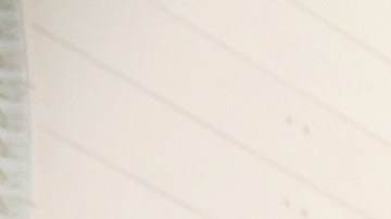 El T-Rex ahora se alza en el Museo Field de Chicago.