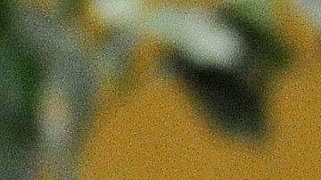 El papa Francisco reveló quién es el verdadero futbolista más importante de la historia.