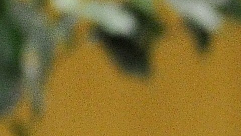El papa Francisco reveló quién es el verdadero futbolista más importante de la historia.