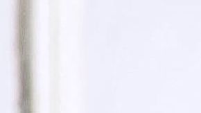 ¿Cuánto dinero generó El Chapo Guzmán?