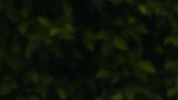 Bruce Willis junto a sus hijas.