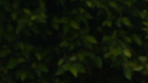 Bruce Willis junto a sus hijas.