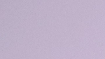 Marco Antonio Regil desfilando en una alfombra roja.