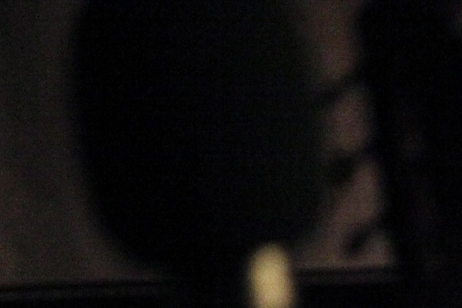 Bjórk en un evento de cuidado por el medio ambiente.