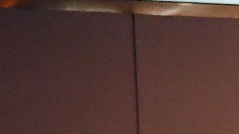 La NSP anunció la noticia del incidente el jueves a través de una publicación en X, antes Twitter.