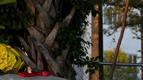 Padres de joven asesinado durante tiroteo en Parkland en 2018 demandaron a Estados Unidos ante la CIDH