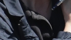 Condenado joven de 21 años en Florida por incitar a un niño a participar en actividades sexuales