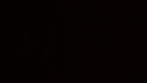 Danii Banks comparte su tiempo entre OnlyFans y las pasarelas de modelaje.