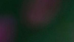 Los miembros detenidos pertenecían al Cartel de Sinaloa.