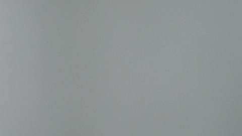 Rafael Márquez, entrenador mexicano.