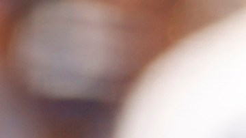 Yankees estudian un posible cambio con los Red Sox que incluiría al venezolano Gleyber Torres