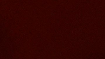 El Mundial es el objetivo: Argentino Gustavo Alfaro es anunciado como nuevo entrenador de Costa Rica