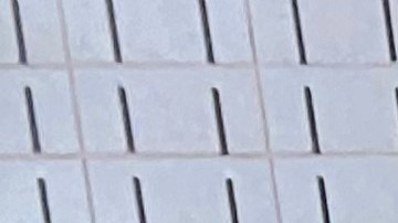 La Constitución defiende el derecho al sufragio.