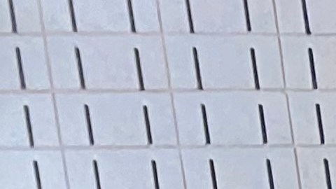 La Constitución defiende el derecho al sufragio.