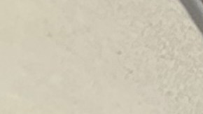 El martes 7 de noviembre de 2023 se realizaron las elecciones municipales en NYC.